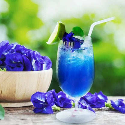 Pudră BUTTERFLY PEA – 70 g