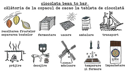 Ciocolată Neagră 70% bean to bar origine Tanzania