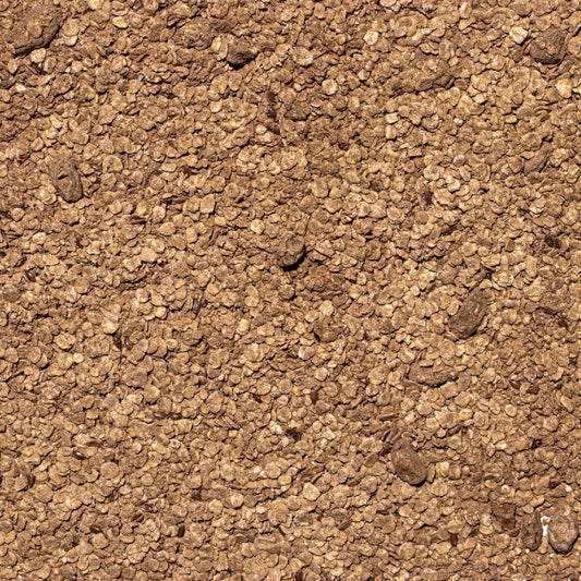 Porridge Chocolate Protein — vrac 1 kg
